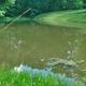 Fishing Pond