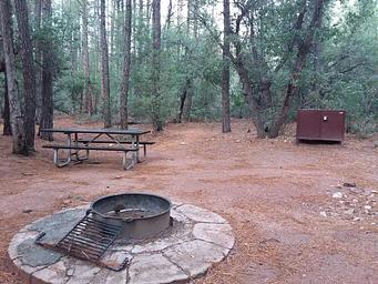 Ponderosa (AZ) Campsite Loop B