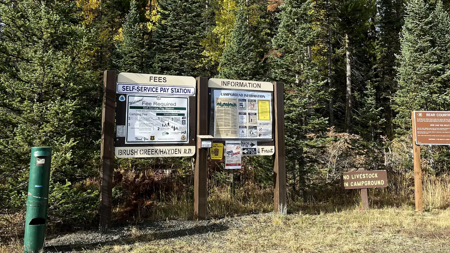 Jack Creek Campground (WY)