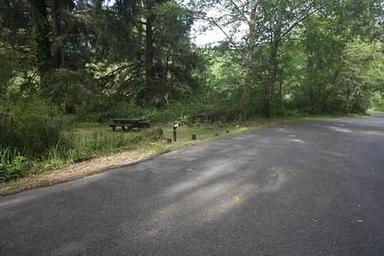 Large paved parking area next to a picnic table in a shady, grass covered campsite.
