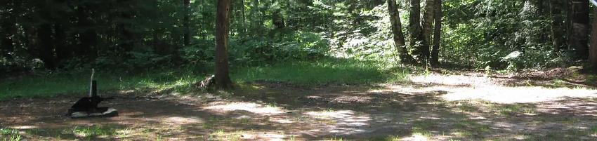 001, Loop: CROOKED LAKE CAMPSITE