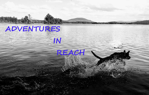 Adventures in Reach with the Fun Finder