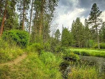 Camp Sherman Campground