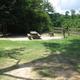 Campground image 4