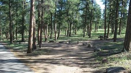 Colorado Campground
