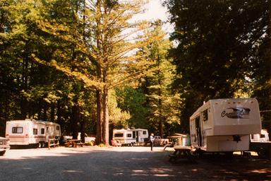 Redcrest Resort