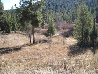 STEEL CREEK GROUP CAMPGROUND