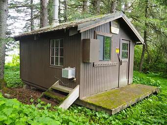 Gut Island Cabin 2 Brown cabin surrounded by greenery and trees