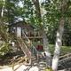 Elevated cabin/treehouse on stilts with deck, stairs and surrounding trees — clear on-site lodging photo (hero image from campground page).