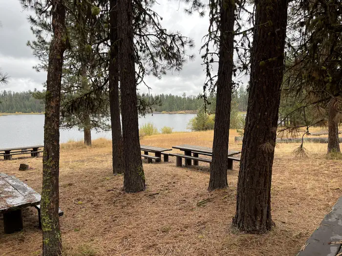 Delintment Lake Campground