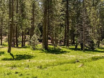 Meadowview Campground Meadow