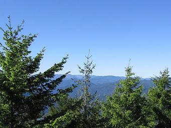View from Bald Knob Lookout