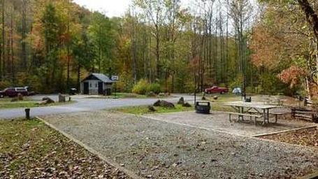 Gravel parking spur, picnic table, and fire pit at a campsite.