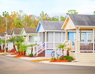 Encore Tropical Palms