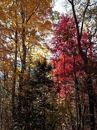 Cross Creek RV Park