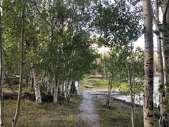 Willow Lake  Camping