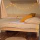 The Timber Den — Cozy Cabin Camper with Solar