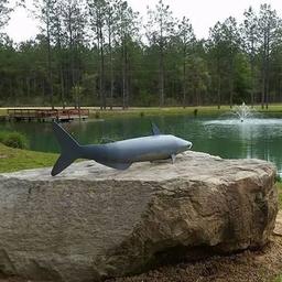 Fishing Pond view 