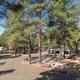 Wide-angle view of paved roads, multiple RV pull-through sites and mature pines — good aerial/overview shot of the campground layout (from the campground's main page hero image).