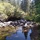 A calm creek reflects the forest scenery on its glassy surface.
