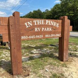In the Pines