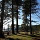 Campground image 1