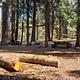 View of campsite at Surveyor Recreation Site.