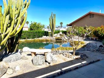 Alternate angle of the same turtle pond area with visible seating, cactus foreground and surrounding landscaping — useful complementary shot for the campground gallery and matches site’s ‘IMG_0566.JPG’ image.
