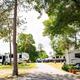 Several RVs are parked along a paved road at a campground surrounded by trees and greenery on a sunny day.