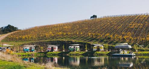 Wide scenic shot of the trailers lined along the pond with vineyard rows on the hillside and reflections in the water—good overall view of campsite arrangement (source page: /trailers).