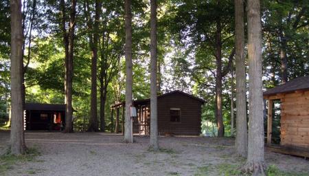 Shows a group of rustic cabins among trees—useful to represent the property’s cabin accommodations; from the Rustic Cabins page context.