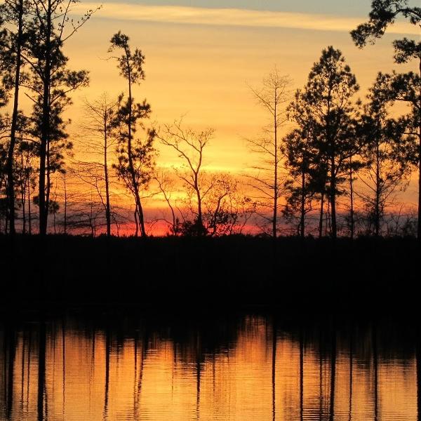 Holbrook Park