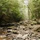 Campspot slideshow image 5