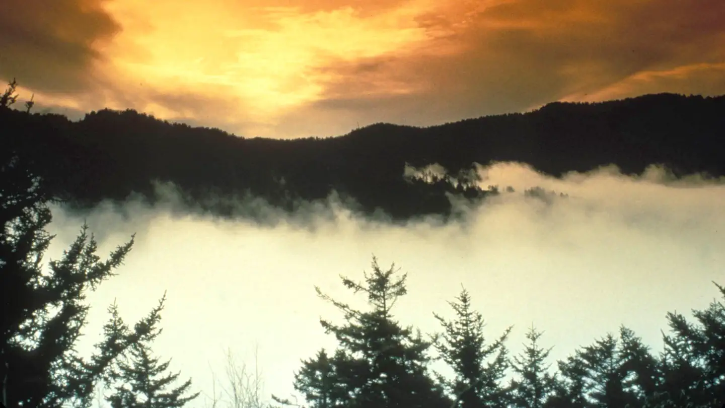 Tow String Horse Camp