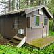 Gut Island Cabin 2 Brown cabin surrounded by greenery and trees