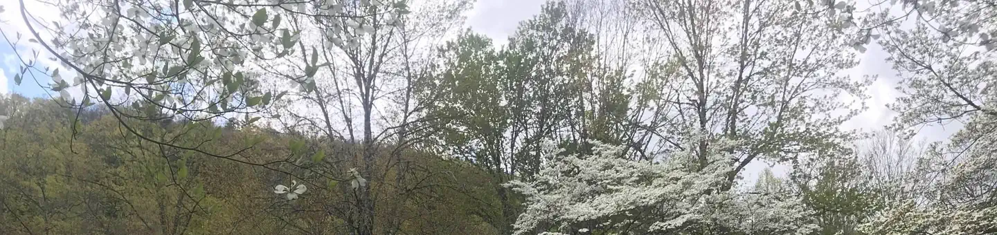 Rocky Bluff Campground