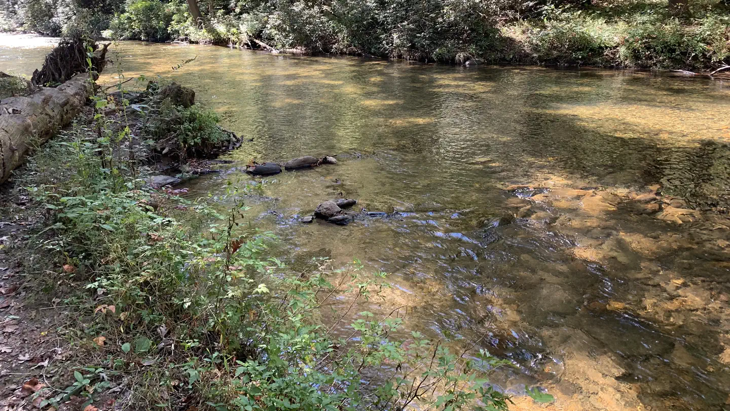 Cooper Creek Campground (GA)