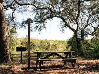 Campground image 2