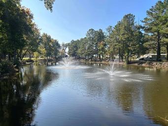 Treeside RV Park