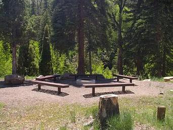 Little Bear Group