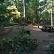 La Wis Wis Campground site