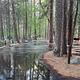 North Pines flooded campground
