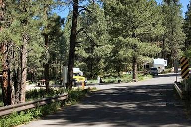 SAN ANTONIO CAMPGROUND