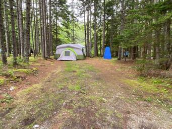 Sherwood Forest Campsite & Cabins