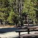 Boundary Creek Campsite #12
