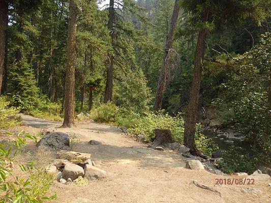 001, Loop: AREA PINE NEEDLE GROUP SITE
