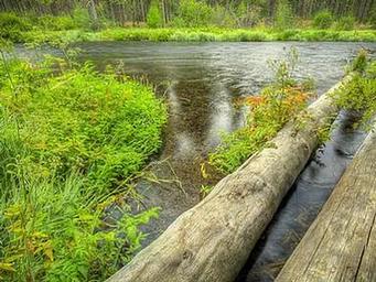 CAMP SHERMAN CAMPGROUND