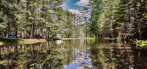 Whispering Pines Campsites & RV Park