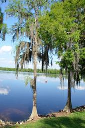 Cypress Cove Nudist Resort