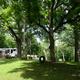 Campground scene with RV parked among mature trees, grassy area and play tire — shows typical RV campsite and wooded setting (from main site photos).